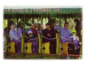 Seeing the Park, circa 1988