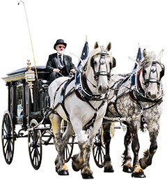 Vintage Horse-Drawn Hearse